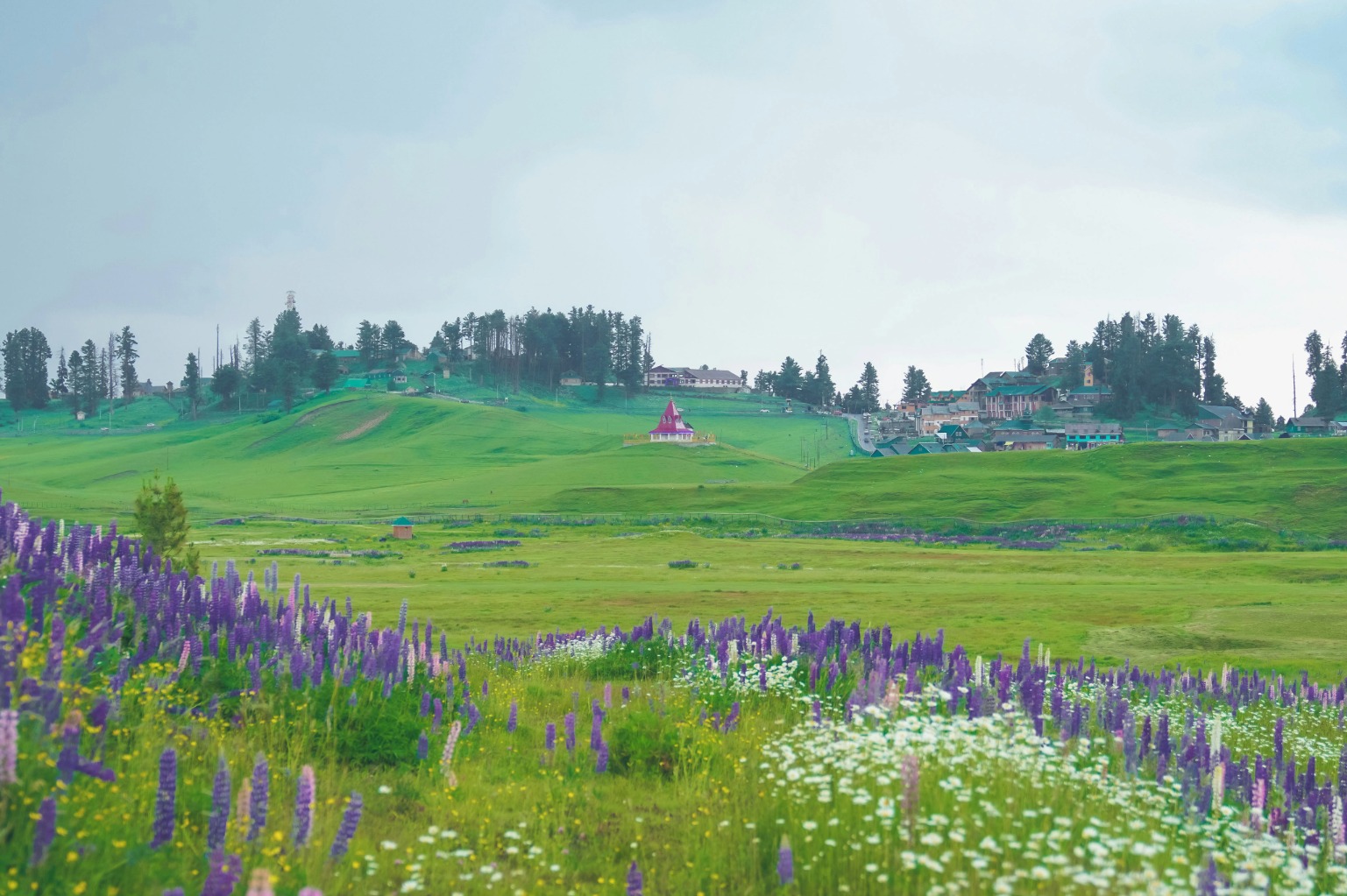 6 Days / 5 Nights Exclusive Kashmir Group Expedition