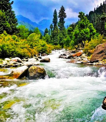 A First-Timer's Guide to Kashmir: Everything You Need to Know